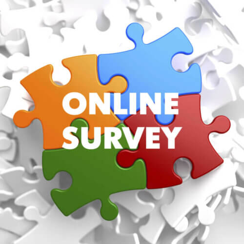 Online Survey on Multicolor Puzzle.