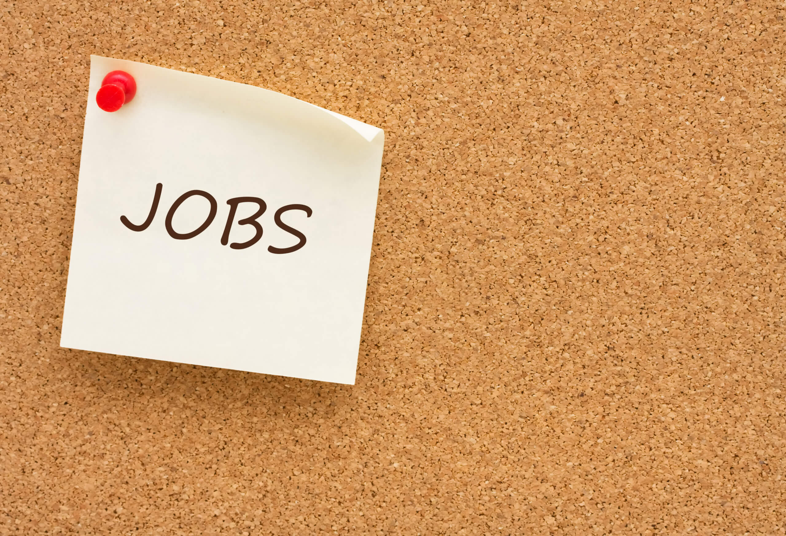 Job Opportunity
