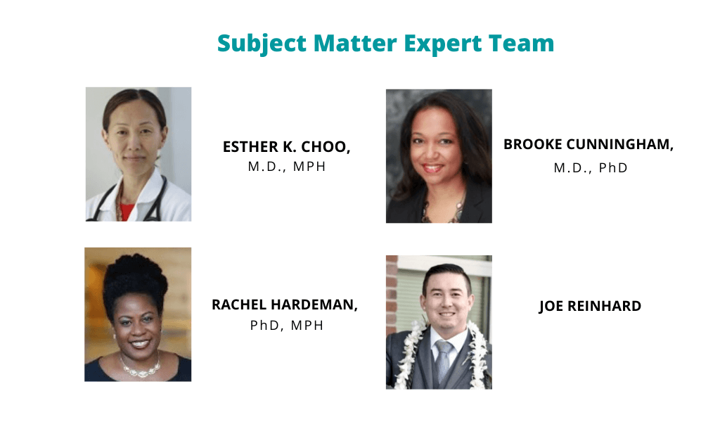subject matter expert team