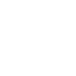 team leader